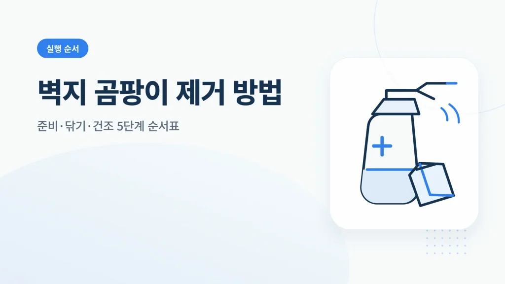벽지 곰팡이 제거 방법 안내