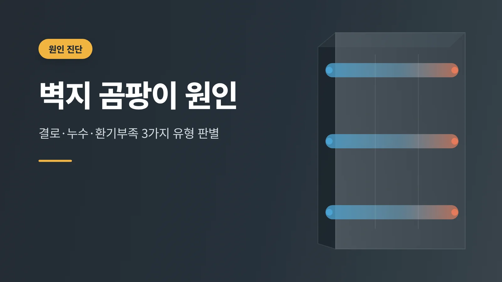 벽지 곰팡이 원인