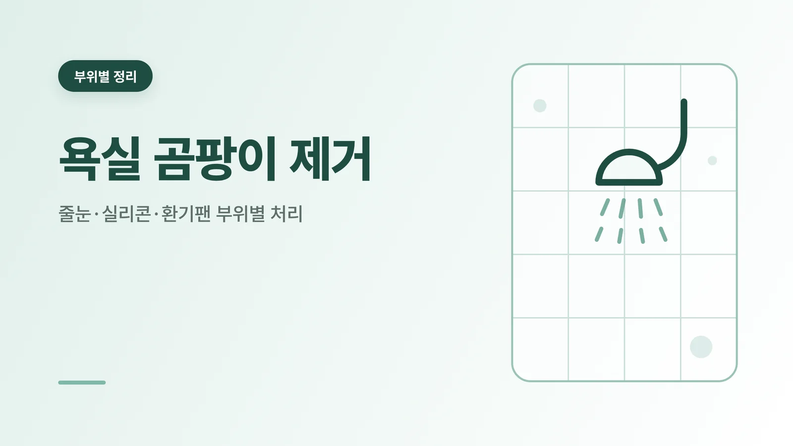 욕실 곰팡이 제거